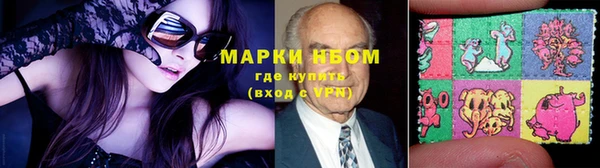 гашик Алексин