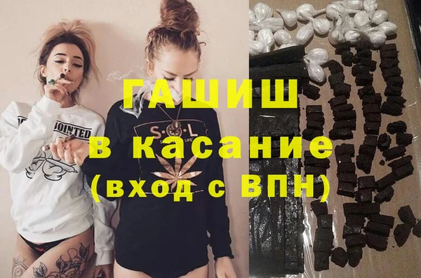 гашик Алексин