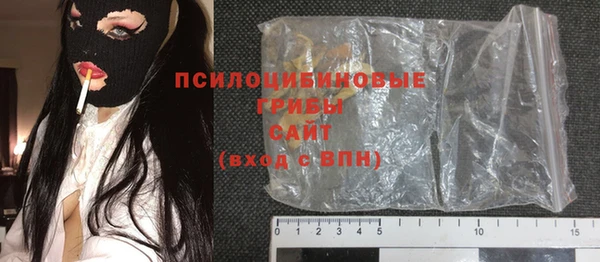 гашик Алексин