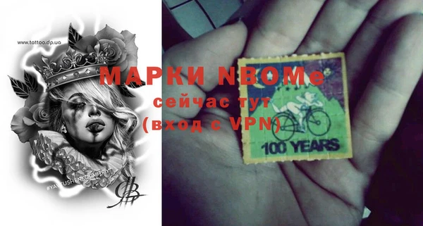 гашик Алексин