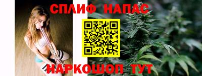мдпв Жуковский