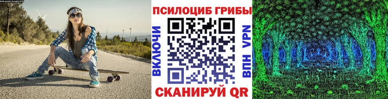 Галлюциногенные грибы мицелий  где можно купить   mega зеркало  Сочи 