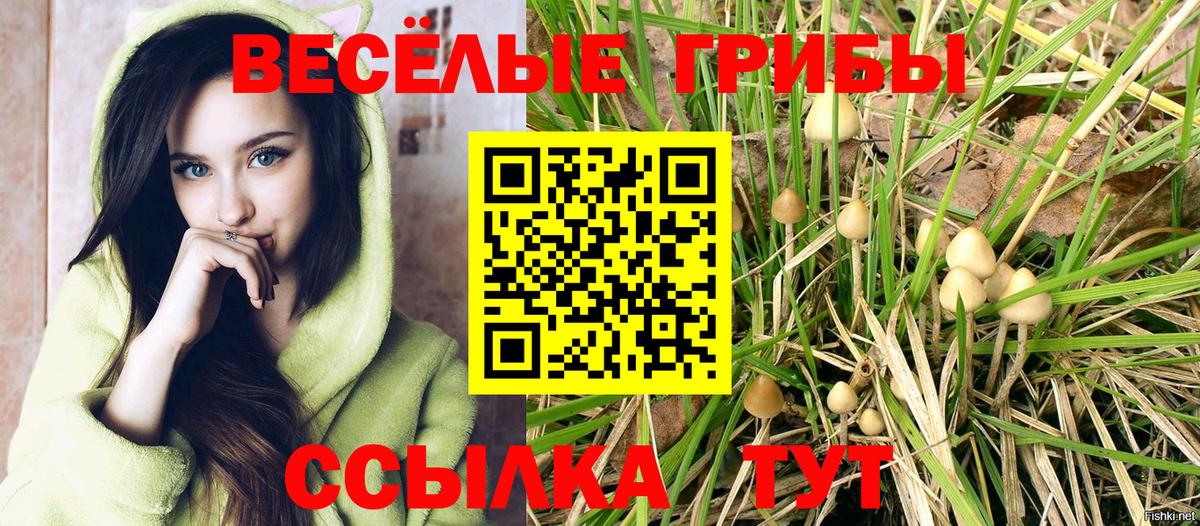 Псилоцибиновые грибы прущие грибы  Псилоцибиновые грибы GOLDEN TEACHER  Сочи  Вход с VPN 